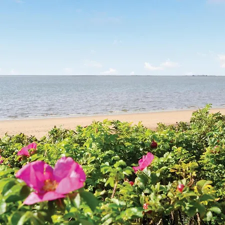 Tatil Evi 3 Bedroom In V