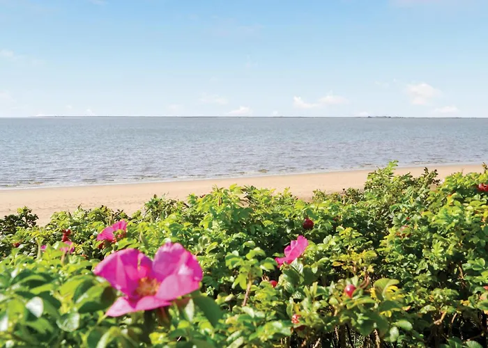 בית נופש 3 Bedroom In V